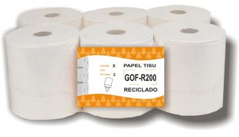 PAPEL SECAMANOS ECOLABEL 2C LISO 6 UNID.